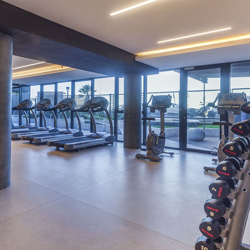 mov_ame_0002_Renner_Torre_Arenas-10