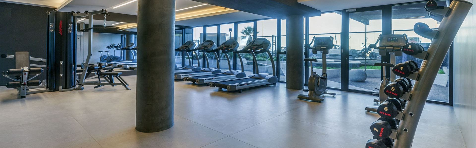 ame_head_0002_Renner_Torre_Arenas-10